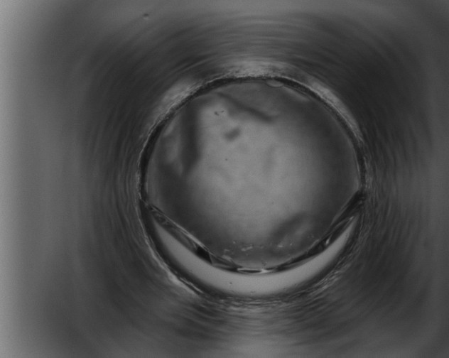 X0000052590485200507152348