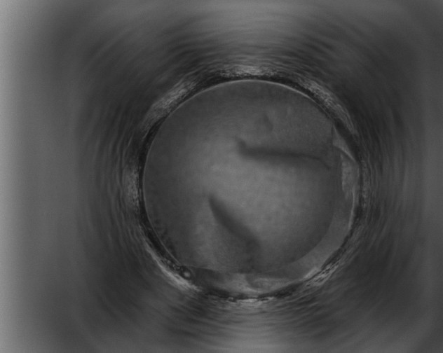 X0000052590489200507152348