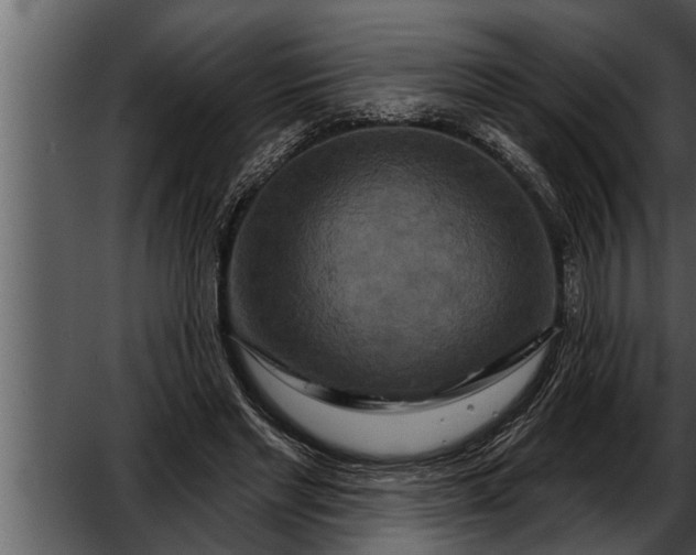 X0000052590493200507152348