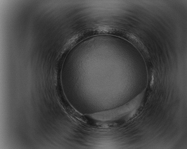 X0000052590496200507152348