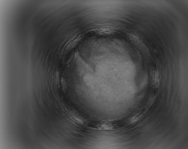 X0000052590506200507152348