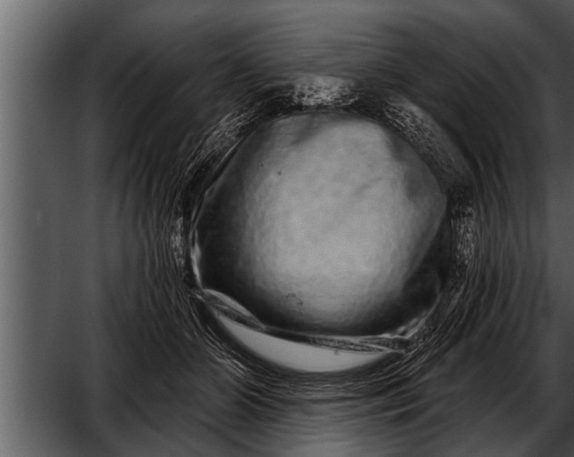 X0000052590510200507152348