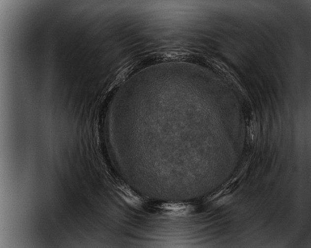 X0000052590520200507152348
