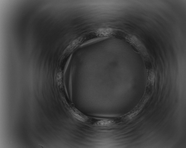 X0000052590526200507152348