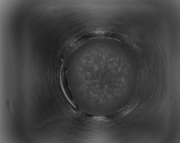 X0000052590528200507152348