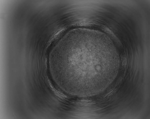 X0000052590542200507152347