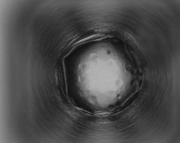 X0000052590549200507152347