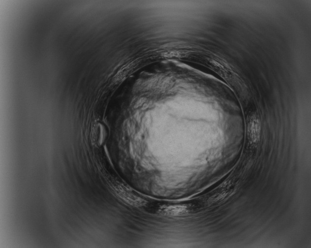 X0000052590554200507152347