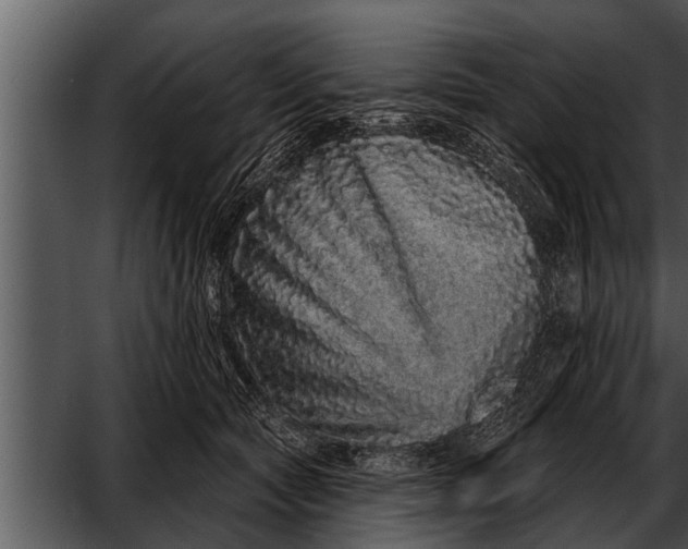 X0000052590561200507152347