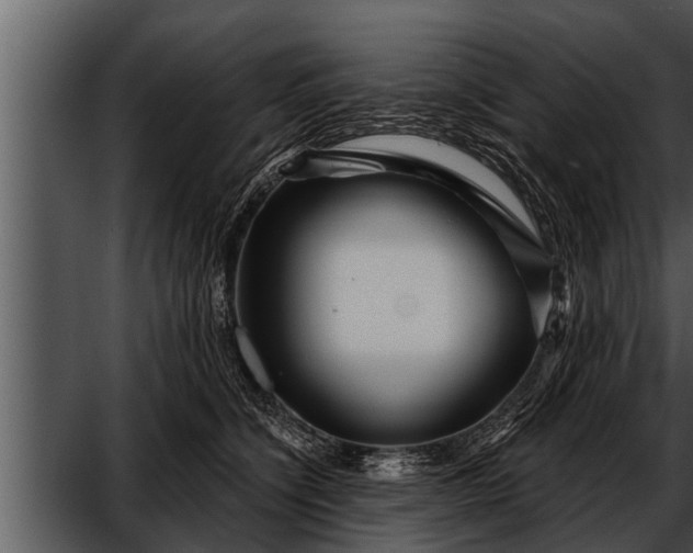 X0000052590564200507152348