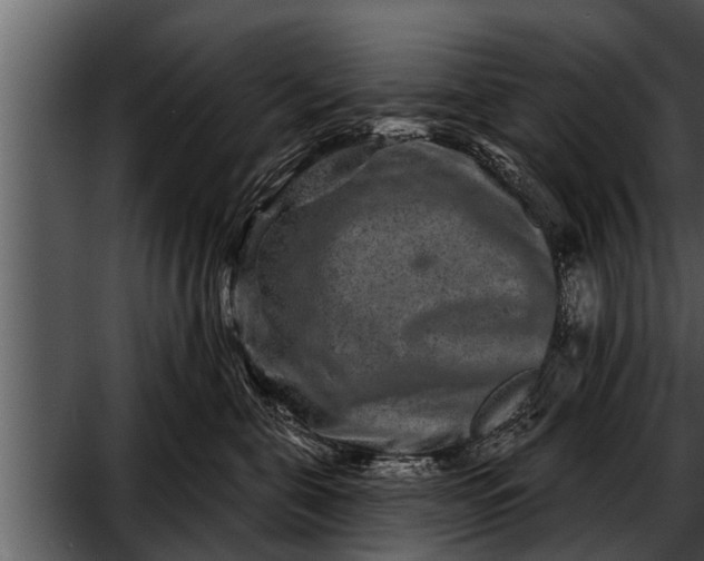 X0000052590571200507152348