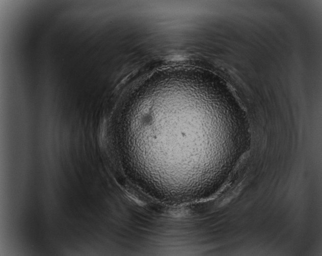 X0000052590576200507152348