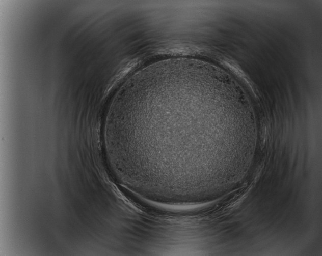 X0000052590585200507152347