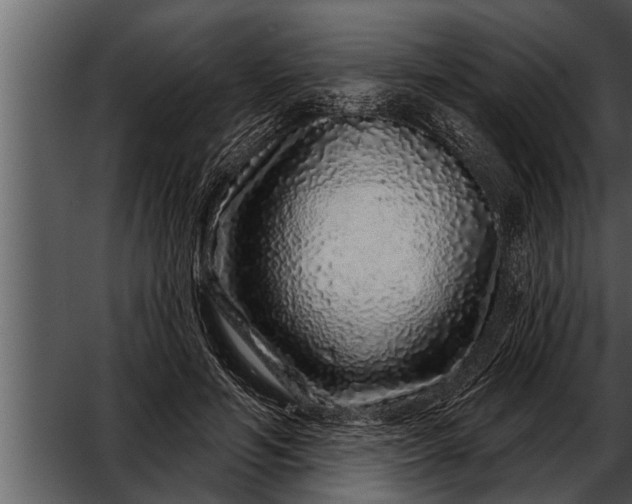 X0000052590594200507152347