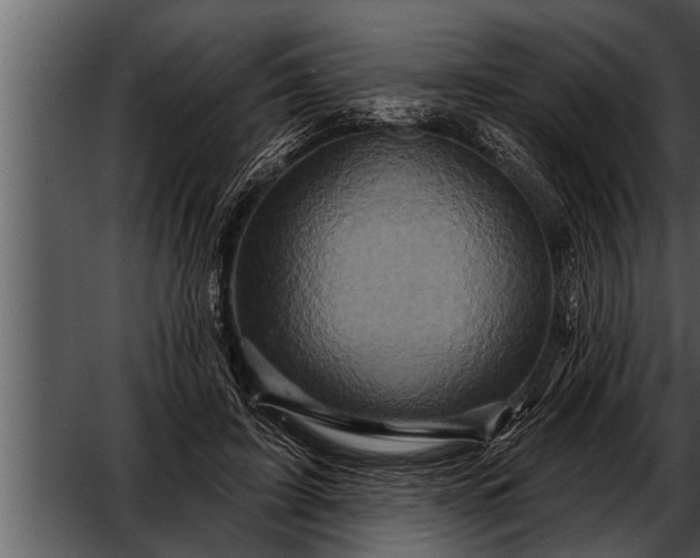 X0000052590595200507152347