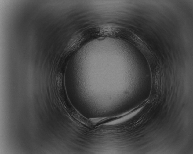 X0000052590603200507152346