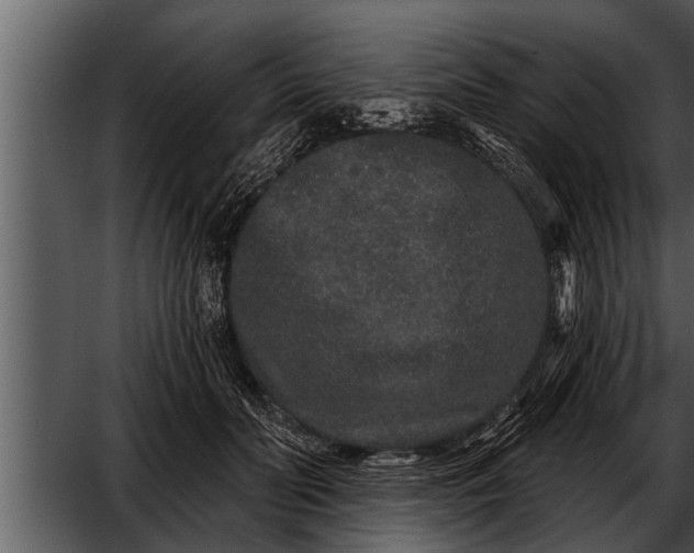 X0000052590606200507152346
