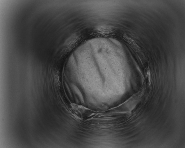 X0000052590615200507152346