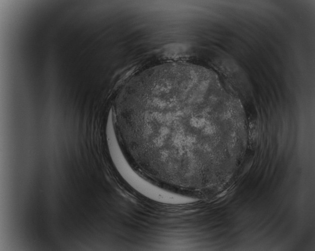 X0000052590623200507152346
