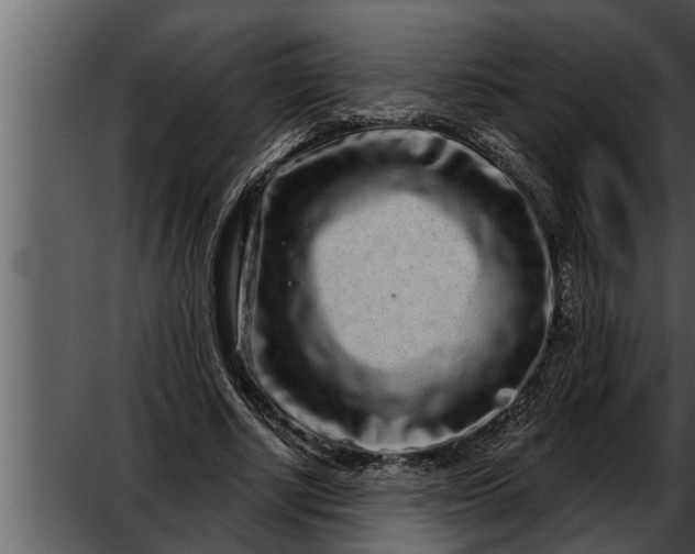 X0000052590634200507152345