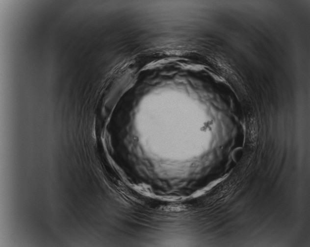X0000052590639200507152346