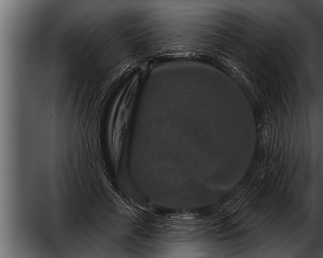 X0000052590643200507152346