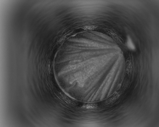 X0000052590655200507152346