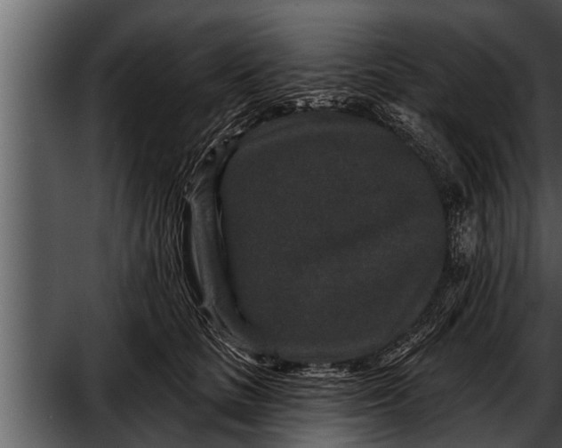 X0000052590661200507152346