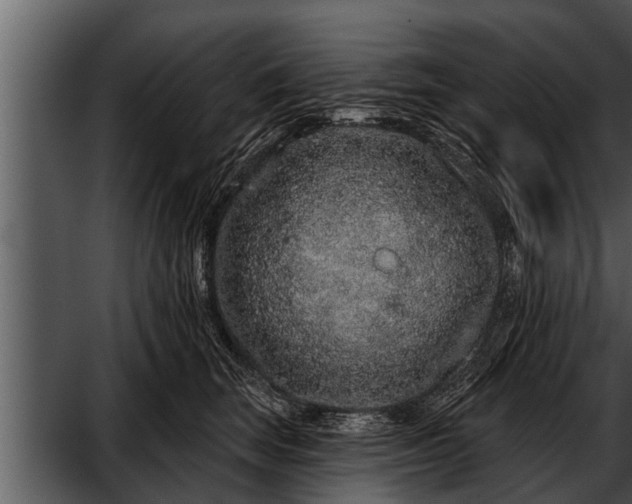 X0000052590663200507152346