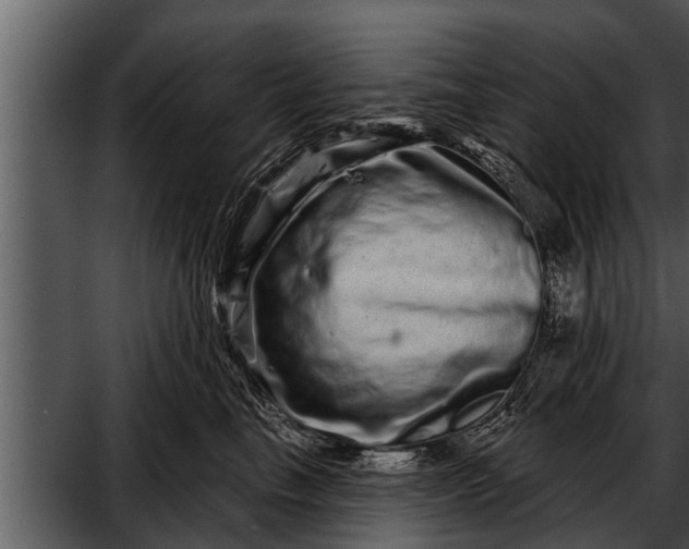 X0000052590665200507152346