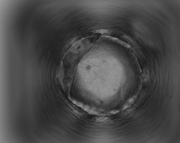 X0000052590669200507152346