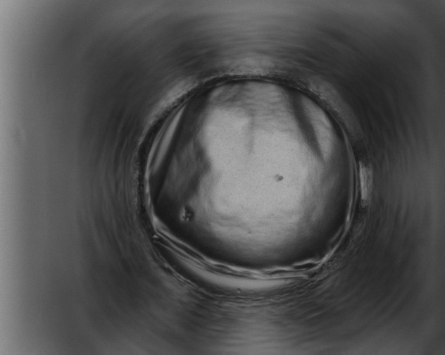 X0000052590675200507152345
