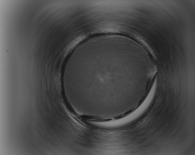 X0000052590677200507152345