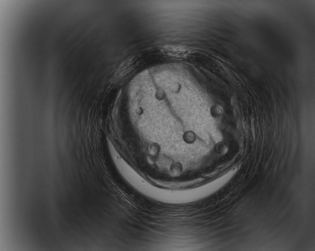 X0000052590707200507152345