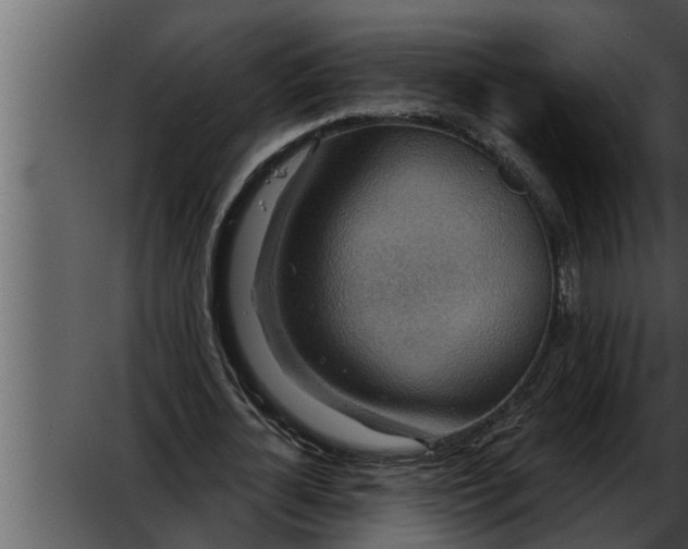 X0000052590724200507152344