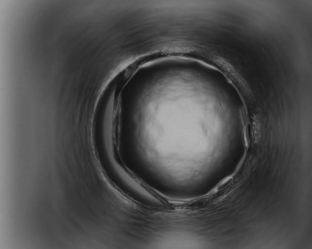 X0000052590726200507152344