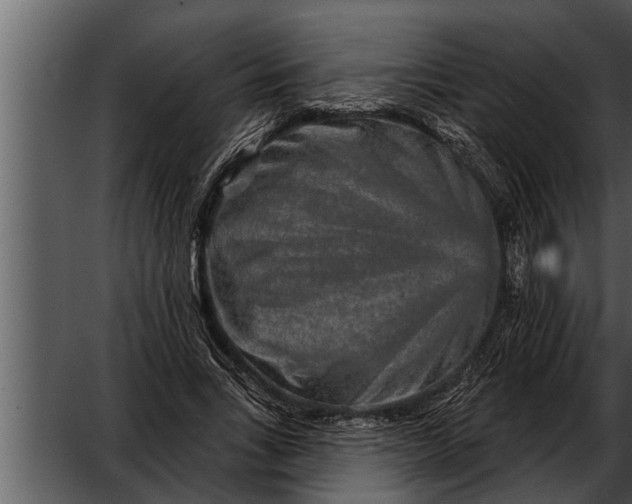 X0000052590735200507152344