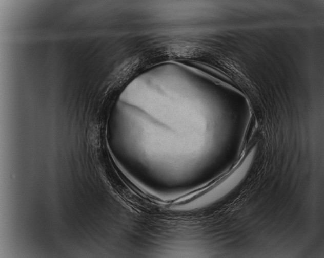 X0000052590738200507152344
