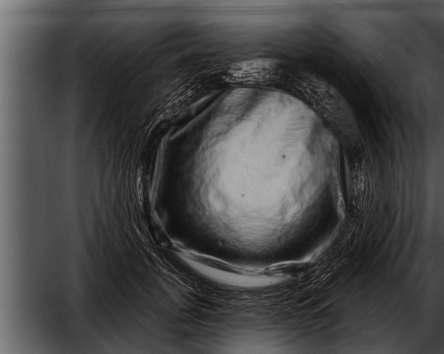 X0000052590751200507152344