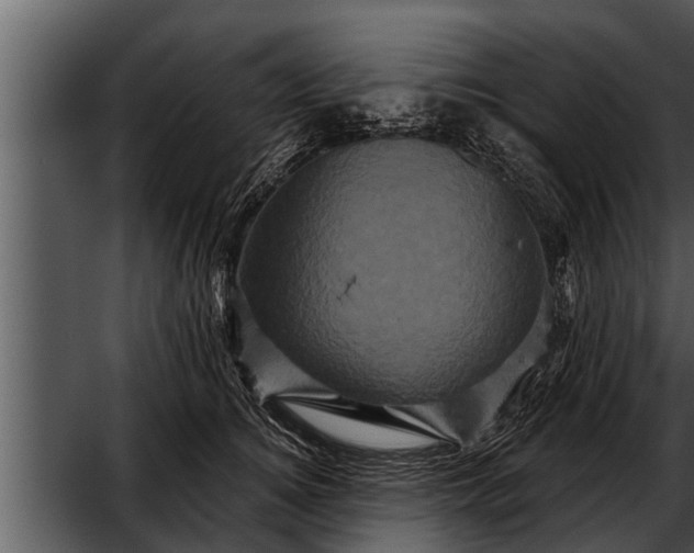 X0000052590756200507152344