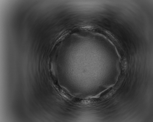 X0000052590764200507152344