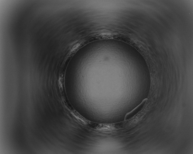 X0000052590768200507152344