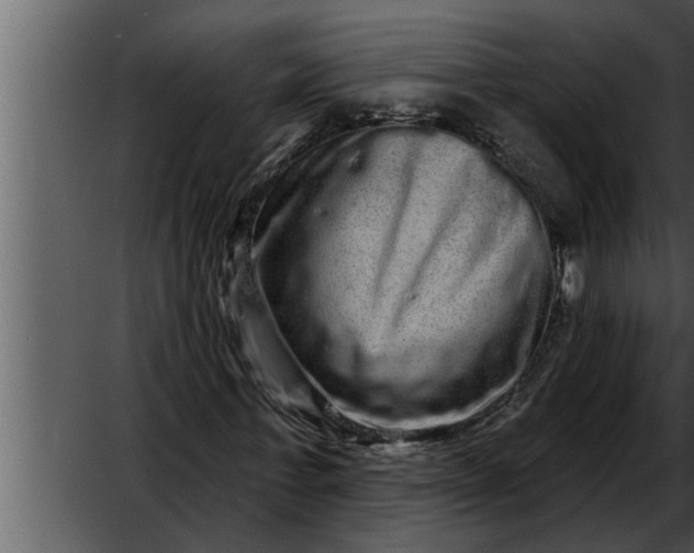 X0000052590771200507152344