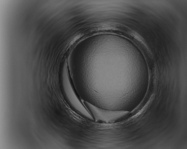 X0000052590777200507152344