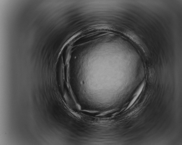 X0000052590782200507152343