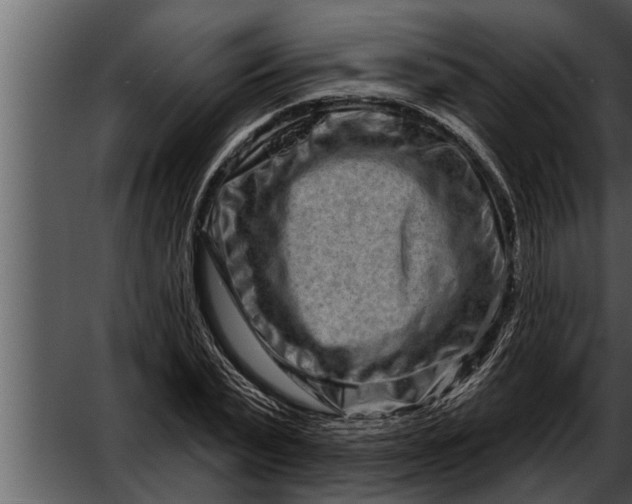 X0000052590783200507152343