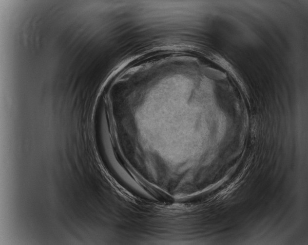 X0000052590787200507152343