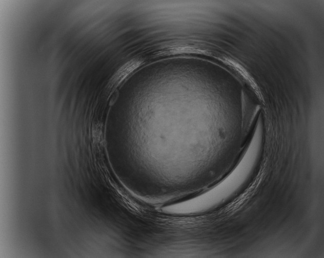 X0000052590793200507152343