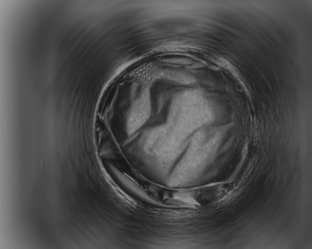 X0000052590795200507152343