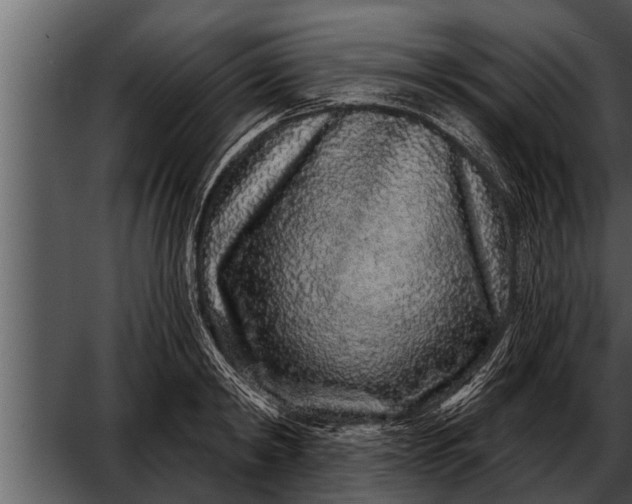 X0000052590798200507152343
